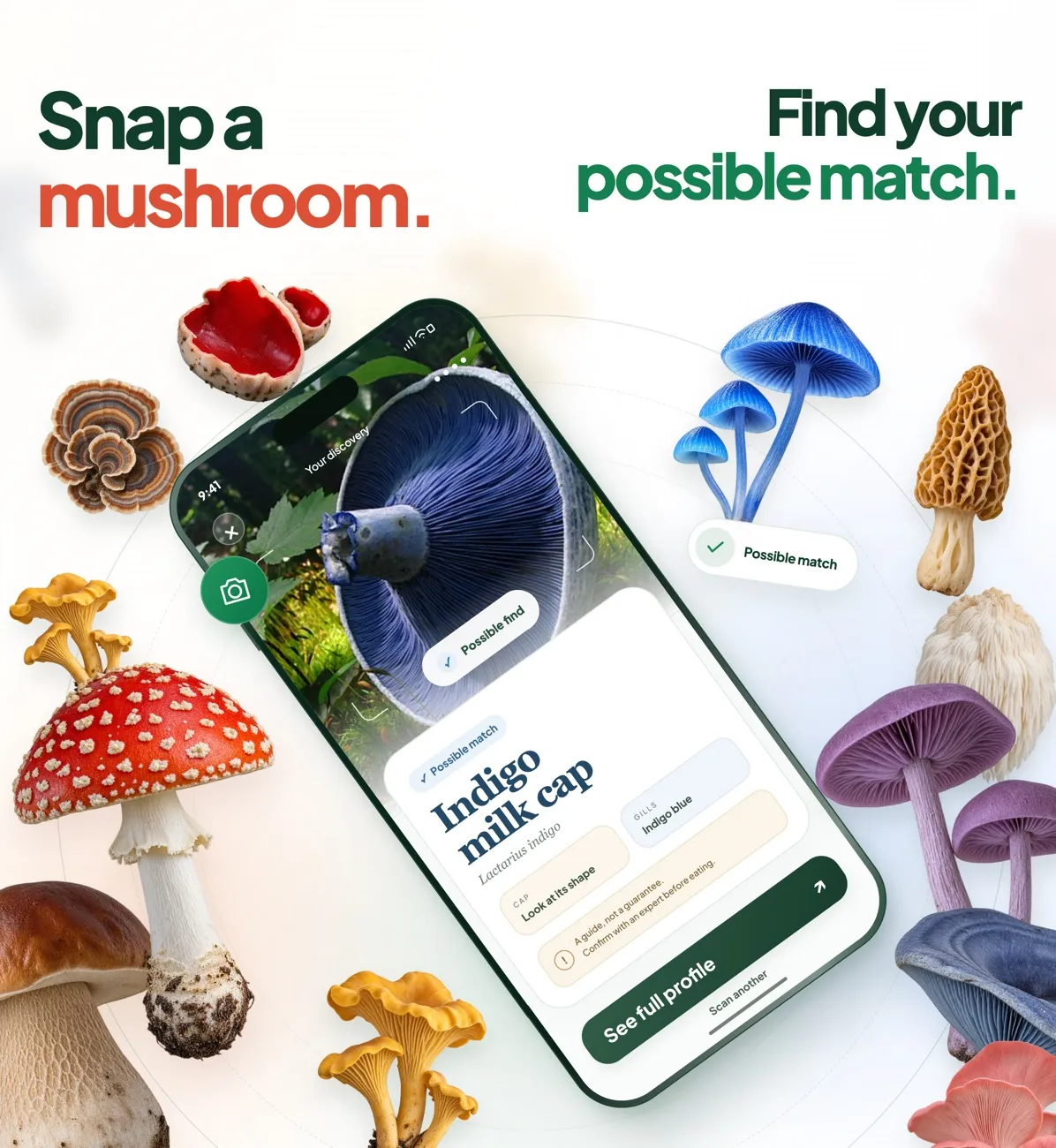 Mushie app screens: snap a mushroom photo and find your possible match