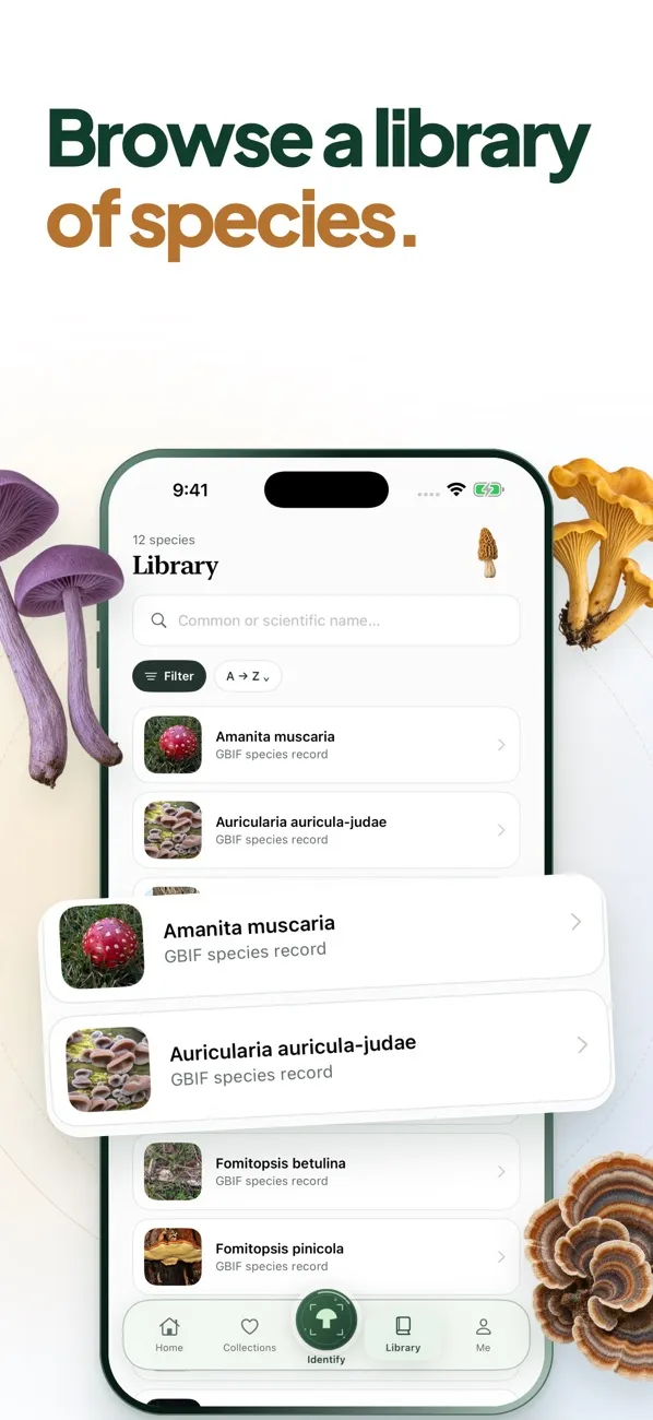 Mushie species library